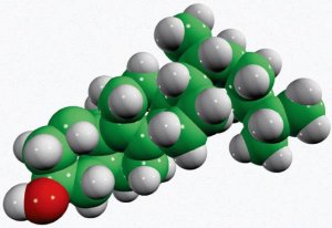 zymostenol 700118P-1MG