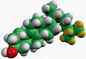 zymostenol-d7 700117P-1MG