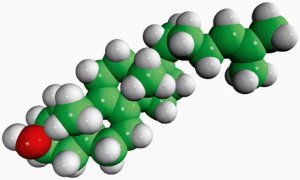zymosterol 