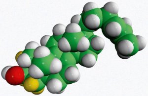 zymosterol-d5 700072P-1MG