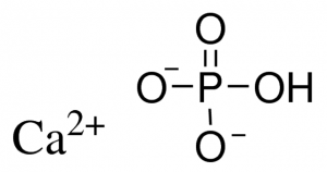 Calcium phosphate dibasic 