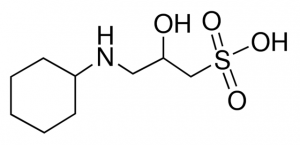 CAPSO 