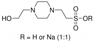 HEPES hemisodium salt 