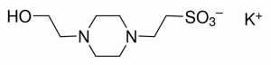 HEPES potassium salt 