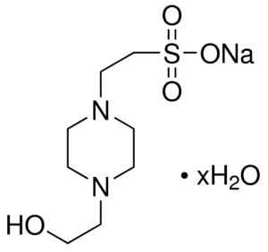 HEPES sodium salt hydrate 