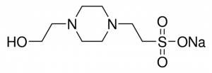 HEPES sodium salt solution 