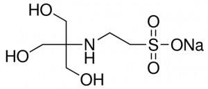 TES sodium salt 