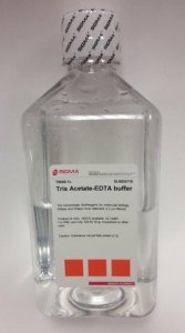 Tris Acetate-EDTA buffer 