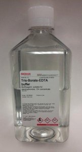 Tris-Borate-EDTA buffer 