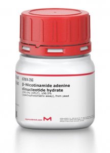 -Nicotinamide adenine dinucleotide hydrate 