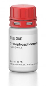 3-Dephosphocoenzyme A 