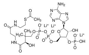 Acetyl coenzyme A lithium salt 