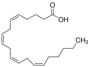 Arachidonic acid 