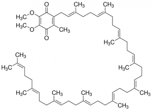 Coenzyme Q10 