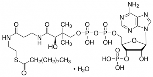 Decanoyl coenzyme A monohydrate 
