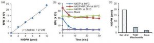 High Sensitivity NADPH Assay Kit MAK216-1KT