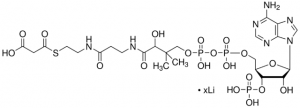 Malonyl coenzyme A lithium salt 