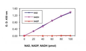 NAD/NADH Quantitation Kit MAK037-1KT