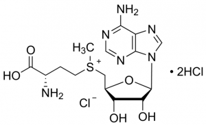 S-(5-Adenosyl)-L-methionine chloride dihydrochloride 