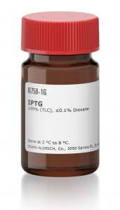 IPTG 