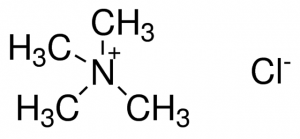 Tetramethylammonium chloride solution 