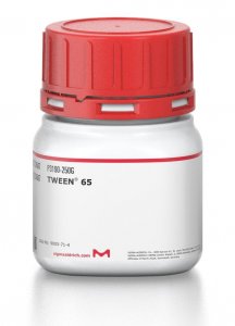 TWEEN 65 