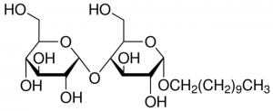 Undecyl -D-maltoside 14578-500MG