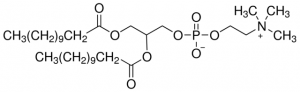 1,2-Didodecanoyl-rac-glycero-3-phosphocholine 