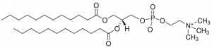 1,2-Didodecanoyl-sn-glycero-3-phosphocholine 