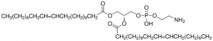1,2-Dierucoyl-sn-glycero-3-phosphoethanolamine 