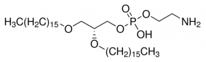 1,2-Dihexadecyl-sn-glycero-3-phosphoethanolamine 
