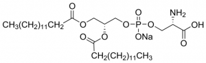 1,2-Dimyristoyl-sn-glycero-3-phospho-L-serine sodium salt 