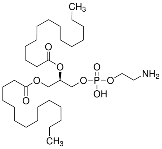 1,2-Dimyristoyl-sn-glycero-3-phosphoethanolamine 