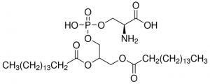 1,2-Dipalmitoyl-rac-glycero-3-phospho-L-serine 