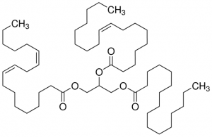 1-Palmitoyl-2-oleoyl-3-linoleoyl-rac-glycerol 