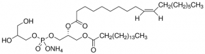 1-Palmitoyl-2-oleoyl-sn-glycero-3-phospho-rac-(1-glycerol) ammonium salt 