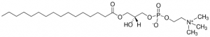 1-Palmitoyl-sn-glycero-3-phosphocholine 