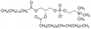 2-Oleoyl-1-palmitoyl-sn-glycero-3-phosphocholine 