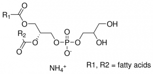 L--Phosphatidyl-DL-glycerol ammonium salt from egg yolk lecithin 