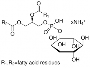 L--Phosphatidylinositol ammonium salt from Glycine max (soybean) 