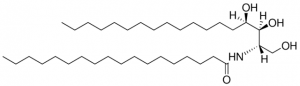 N-Stearoyl-phytosphingosine SMB00578-5MG