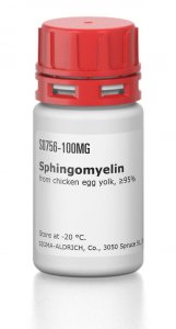 Sphingomyelin 