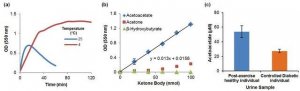 Acetoacetate Colorimetric Assay Kit MAK199-1KT