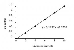 Alanine Assay Kit MAK001-1KT