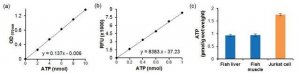 ATP Assay Kit MAK190-1KT