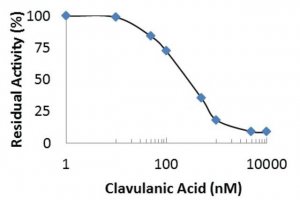 Beta-Lactamase Inhibitor Screening Kit MAK222-1KT