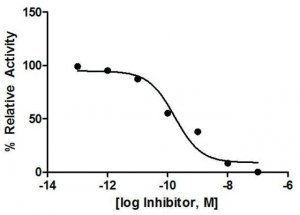 Cathepsin B Inhibitor Screening Kit MAK200-1KT
