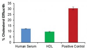 Cholesterol Efflux Assay Kit MAK192-1KT