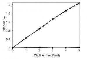 Choline/Acetylcholine Quantification Kit MAK056-1KT