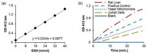 Citrate Synthase Activity Assay Kit MAK193-1KT